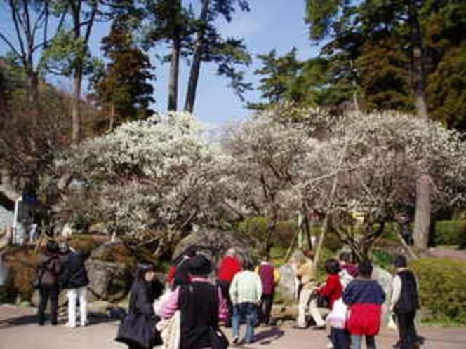 Minoya Hotel Atami  Esterno foto